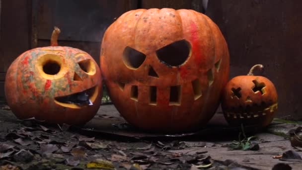 Halloween Orange Kürbisse Den Slums Herbstfest Feier — Stockvideo