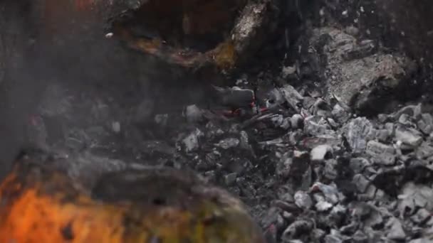 南瓜在灰烬中从院子里的火堆里冒出橙黄色的光晕 — 图库视频影像