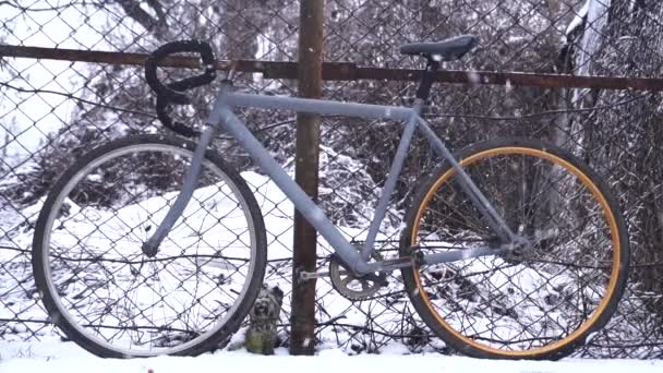 Grå Gammal Cykel Gården Vintern När Det Snöar Slow Motion — Stockvideo