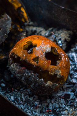 Bahçedeki yangının külleri içinde balkabağı.