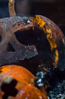 Bahçedeki yangının külleri içinde balkabağı.