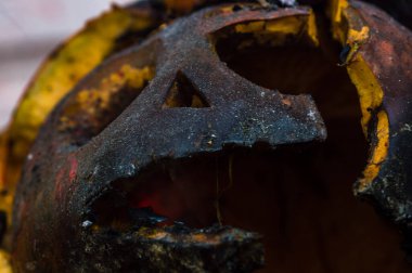 Bahçedeki yangının külleri içinde balkabağı.