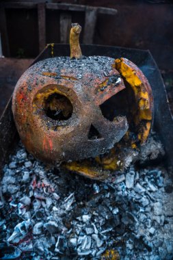 Bahçedeki yangının külleri içinde balkabağı.