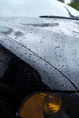  Bahçedeki siyah araba yağmurdan sonra suya düşer.