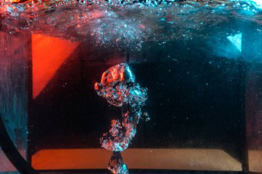 Su dokusu gürleyen kaos içinde hava kabarcıkları yaratıyor mavi ve kırmızı ışıkta dışarı kaçıyorlar.