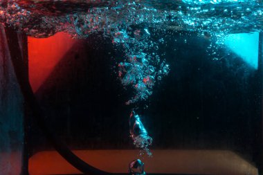 Su dokusu gürleyen kaos içinde hava kabarcıkları yaratıyor mavi ve kırmızı ışıkta dışarı kaçıyorlar.