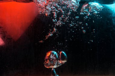 Su dokusu gürleyen kaos içinde hava kabarcıkları yaratıyor mavi ve kırmızı ışıkta dışarı kaçıyorlar.