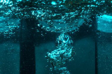 Suyun dokusu, hava kabarcıklarının oluşturduğu gürleyen bir kaostur. Mavi ışıkta dışarıya doğru kaçıyorlar.