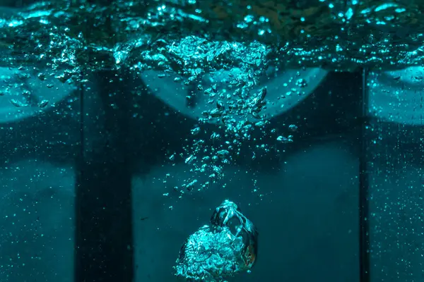 Suyun dokusu, hava kabarcıklarının oluşturduğu gürleyen bir kaostur. Mavi ışıkta dışarıya doğru kaçıyorlar.