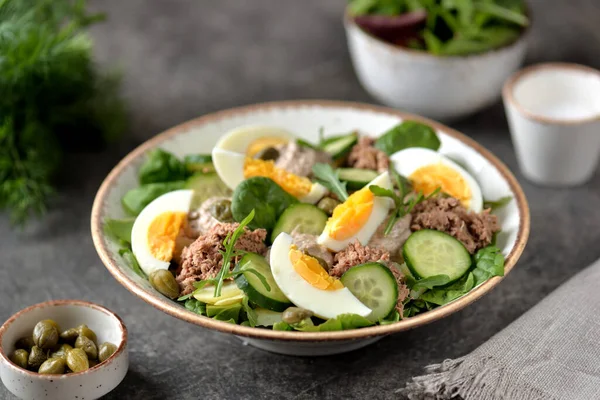 Healthy Canned Tuna Salad Capers Egg Potato Cucumber Stock Picture