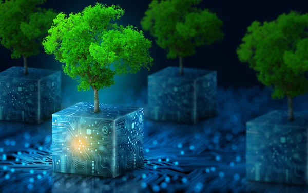 Tree Growing Circuit Digital Cube Digital Technology Convergence Blue Light — Stock Fotó