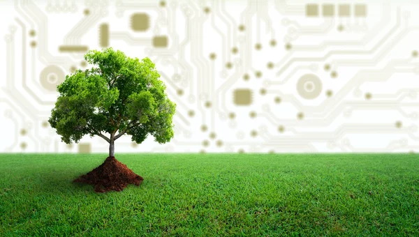 土壌と緑の芝生の上で成長する木 デジタル融合と技術融合による自然 グリーンコンピューティング グリーンテクノロジー グリーンIt Csr It倫理の概念 — ストック写真