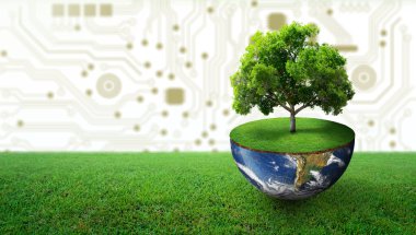 Dünyanın yarısında yeşil otlarla yetişen bir ağaç. Dijital ve Teknoloji Yakınsaması. Green Computing, Green Technology, Green IT, CSR ve IT etik kavramı. Görüntü NASA tarafından desteklenmektedir.