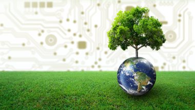 Dünya 'da yeşil otlarla büyüyen ağaç. Dijital ve Teknoloji Yakınsaması. Green Computing, Green Technology, Green IT, CSR ve IT etik kavramı. Görüntü NASA tarafından desteklenmektedir.