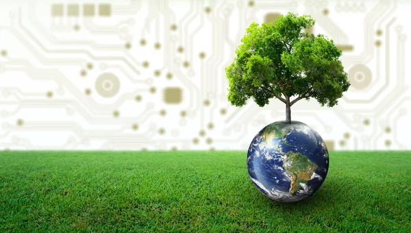 Tree growing on Earth with green grass. Digital and Technology Convergence. Green Computing, Green Technology, Green IT, csr, and IT ethics Concept. Image furnished by NASA.