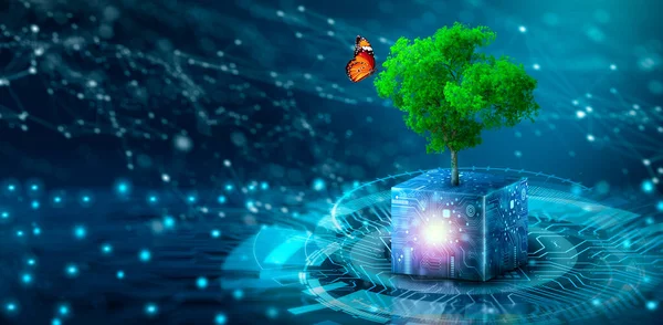 Tree growing on Circuit Digital Cube. Digital and Technology Convergence. Blue light and Wireframe network background. Green Computing, Green Technology, Green IT, csr, and IT ethics Concept.