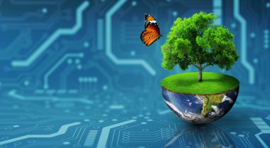 Yeşil otlar ve kelebeklerle dünyanın yarısında yetişen ağaç. Dijital ve Teknoloji Yakınsaması. Green Computing, Green Technology, Green IT, CSR ve IT etik kavramı. Görüntü NASA tarafından desteklenmektedir.