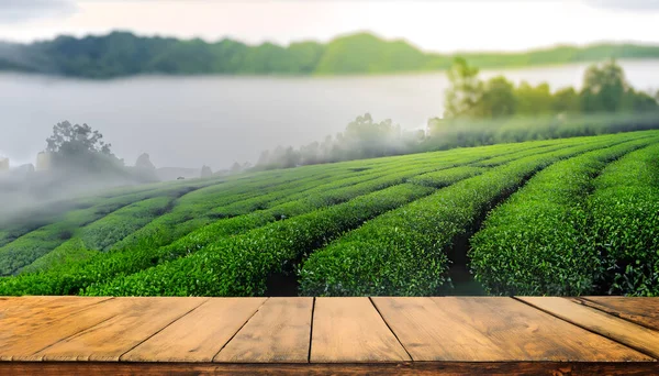 stock image Empty wood table top and Tea farm background. Mock up for display of product.