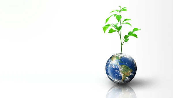 Planten Groeien Aarde Geïsoleerd Witte Achtergrond World Ecology World Environment — Stockfoto