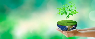 Dünyanın yarısında kelebeklerle birlikte bitki yetiştirmek. Bokeh 'in yeşil arka planı. Dünya Akıl Sağlığı ve Dünya Günü. NASA tarafından döşenmiş elementler. Çevre ve Dünya Ekolojisi Konsepti Kaydediliyor.