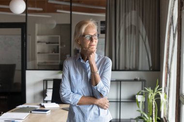 Ciddi, düşünceli, kıdemli iş sahibi kadın proje için çözümler düşünüyor, şirketin gelecekteki vizyonunu düşünüyor, karar veriyor, çeneye dokunuyor, pencereye bakıyor. Olgun CEO, iş adamı portresi