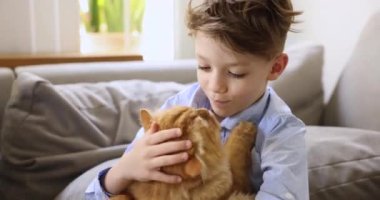Küçük çocuk tüylü, kızıl, safkan kediyle oynuyor, evde güzel hayvanlarla vakit geçiriyor. İletişim, evcil hayvan ve çocuk arasındaki bağ, fiziksel ve duygusal refah üzerindeki olumlu etkiler.