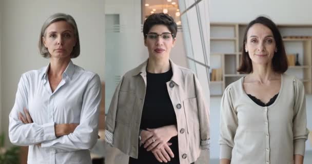Junge Und Mittelalte Geschäftsfrauen Freizeitkleidung Posieren Büro Und Lachen Die — Stockvideo