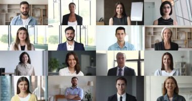 İş adamlarının, profesyonellerin, başarılı iş adamlarının vesikalık portresi. Ve iş kadınlarının gülümsemesi. Başarı, başarı, farklı yaş ve etnik kökenli insanların kolajı