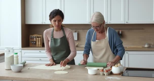 Donna Anziana Grembiule Trascorrere Del Tempo Cucina Accogliente Con Figlia — Video Stock