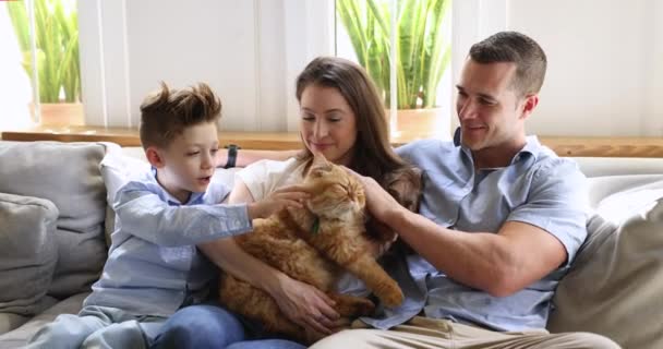 小さい息子と幸せな美しい両親は笑って ふわふわのふわふわした猫とソファーでリラックスして話し かわいい動物を脳卒中し 快適な会話は週末を家で過ごします 家族の休息 コミュニケーション — ストック動画
