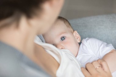 Sevimli barışçıl bebek 0-6 'nın yakın çekimi anne sütünü emiyor. Sevgi dolu bir anne bebeğini kucaklar, rahatlatır, emzirme anından zevk alır, koşulsuz sevgiyi hisseder, yeni sıcaklığa ve doğal beslenmeye katkıda bulunur.