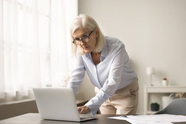 Dizüstü bilgisayar kullanan, bilgisayar başında duran, bilgisayarda yazan, düşünen, ekranda okuyan, çevrimiçi içeriği izleyen, iş projesinde çalışan yaşlı ve profesyonel bir kadın.