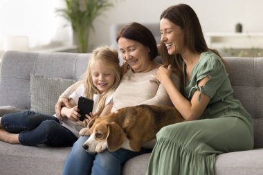 Üç neslin neşeli kızları ve kadınları kucağında sevimli bir köpek, rahat bir evde yumuşak bir kanepede dinleniyorlar, internet üzerinden köpek maması almak için internet üzerinden cep telefonu kullanıyorlar.