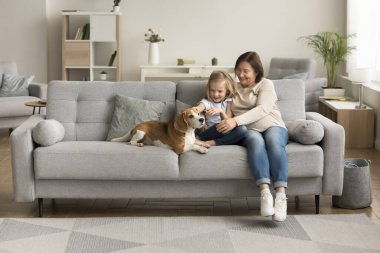 Mutlu bir büyükanne ve torunun sevimli bir av köpeğini okşaması, aile tatilinin keyfini çıkarması, evcil hayvan arkadaşlarıyla rahatlaması, evdeki kanepede dinlenmesi.