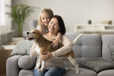 Neşeli büyükanne ve köpek sahibi kadın av köpeğine sarılıyor, yumuşak koltukta sırnaşıyor, gülüyor, portre için gülümsüyor, kameraya bakıyor, torunumla ve sevgili evcil hayvanımla evde dinleniyor.