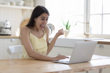 Neşeli, heyecanlı yetişkin kız başarıyı, şansı, başarıyı kutluyor, dizüstü bilgisayara bakıyor, kazanıyor evet el, neşe için bağırıyor, evde bilgisayar kullanıyor.