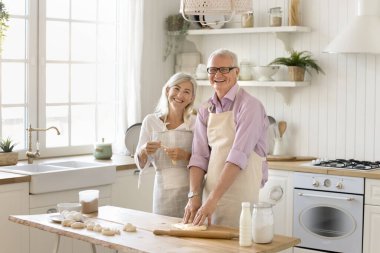 Mutfakta yemek pişirmekten, taze çörekler pişirmekten, tatlı hazırlamaktan, masaya hamur atmaktan, kameraya bakmaktan, gülümsemekten hoşlanan pozitif, gri saçlı bir çift. Ev resmi