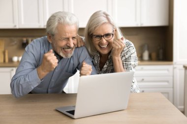 Neşeli emekli çift zaferi, finansal başarıyı, yatırımdan elde edilen geliri kutluyor, dizüstü bilgisayara bakıyor yumruklarıyla, kazanan el hareketi yapıyor, gülüyor, gülümsüyor.