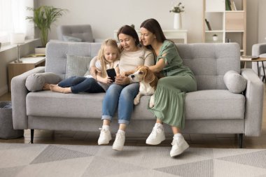 Odaklanmış küçük çocuk, anne ve büyükanne rahat bir evde tatlı bir köpekle rahat koltukta dinleniyor, cep telefonunu aile içi internet iletişimi için birlikte kullanıyorlar.