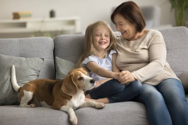 Mutlu yaşlı büyükannem ve tatlı torunum köpekle birlikte evdeki rahat koltukta dinleniyor, eğleniyor, gülüyor, sarılıyor, evcil hayvanlarla vakit geçiriyor, arkadaşlığın tadını çıkarıyor.