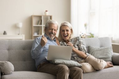 Neşeli yaşlı çift zaferi kutluyor, finansal başarı, dizüstü bilgisayara bakıyor, kazananla sevinç çığlıkları atıyor evet el hareketi, gülüyor, gülümsüyor, ev kanepede eğleniyor.