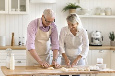 Mutlu son sınıf fırıncıları mutfak mutfağında yemek yapmayı seviyorlar, hamur yoğuruyorlar, konuşuyorlar, gülüyorlar, gülüyorlar, tatlı hazırlıyorlar, aile yemeği için taze çörekler pişiriyorlar.