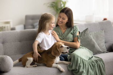 Neşeli bir anne ve mutlu bir anaokulu çocuğu köpek, aile eğlencesi, rahat bir ev, rahat koltukta oturuyor, konuşuyor, gülüyor, dokunuyor.