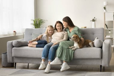 Köpekli üç kadın neslin geniş aile portresi. Mutlu büyükanne, anne ve küçük kız tatlı bir köpeği okşuyor, kanepeye yakın oturuyor, konuşuyor, gülüyor.