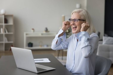 Aşırı mutlu orta yaşlı iş kadını dizüstü bilgisayarla masada oturuyor, karlı ticari teklifli e-posta alıyor, anlaşma yapıyor, geri ödeme alıyor, iş başarısını kutluyor, iş yerinde harika haberler okuyor.