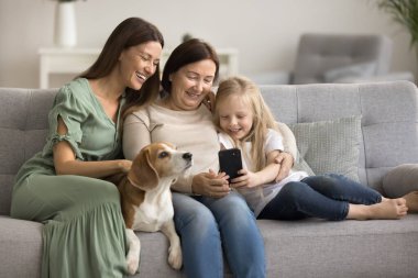 Mutlu büyükanne, anne ve küçük anaokulu kızı köpeğini okşuyor, akıllı telefon tutuyor, rahat bir ev kanepesinde oturuyor, online içeriği izliyor, modern internet iletişimini kullanıyor.