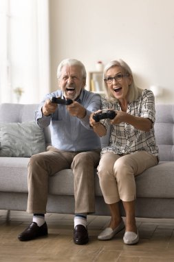 Coşkulu, modaya uygun, yaşlı karı-koca evde eğleniyor, joystick kullanıyor, oyun sahası kullanıyor, harika oyun oynuyor, rekabet ediyor, duygusal olarak sevinç çığlıkları atıyor, mutlu oluyor.