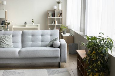 Modern mobilyaları, rahat kanepesi, rafları ve çiçekleri olan, gün ışığı olmayan rahat oturma odasının oldukça basit bir iç tasarımı. Konut, konut kirası, emlak, kira