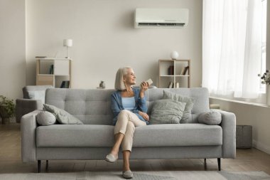 Klimayı açmak için uzaktan kumanda kullanan, ev aletlerini soğutmaya başlayan, rahat, modern bir apartman dairesinde rahat bir kanepede dinlenen yaşlı bir kadın.