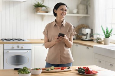 Orta yaşlı çekici bir kadın elinde akıllı telefonuyla mutfakta duruyor sebze salatası pişiriyor internette yemek tarifleri arıyor yemek hazırlamakla meşgul değil internetten internette sörf yapıyor. Modern teknoloji, aşçılık